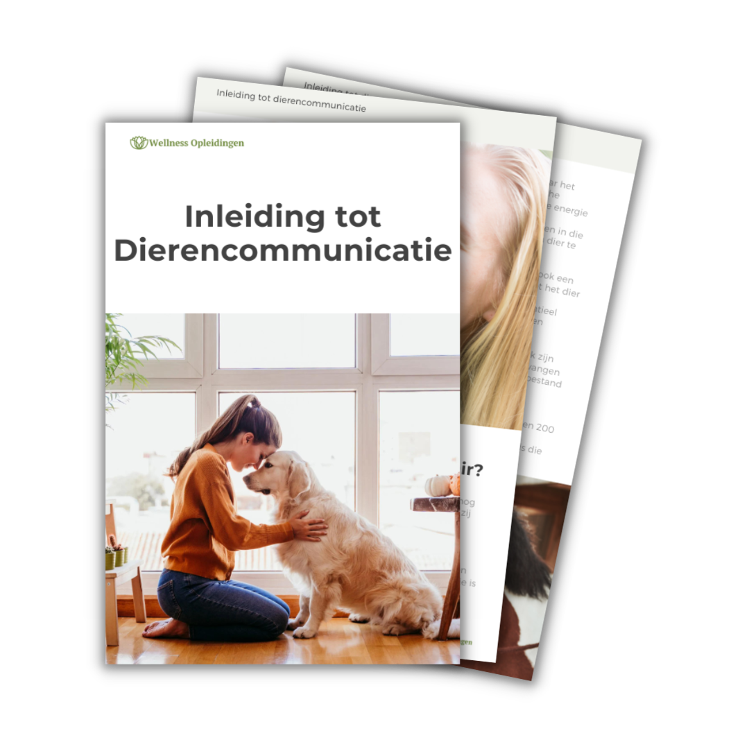 Ontdek dierencommunicatie — begin vandaag met je gratis introductiecursus.