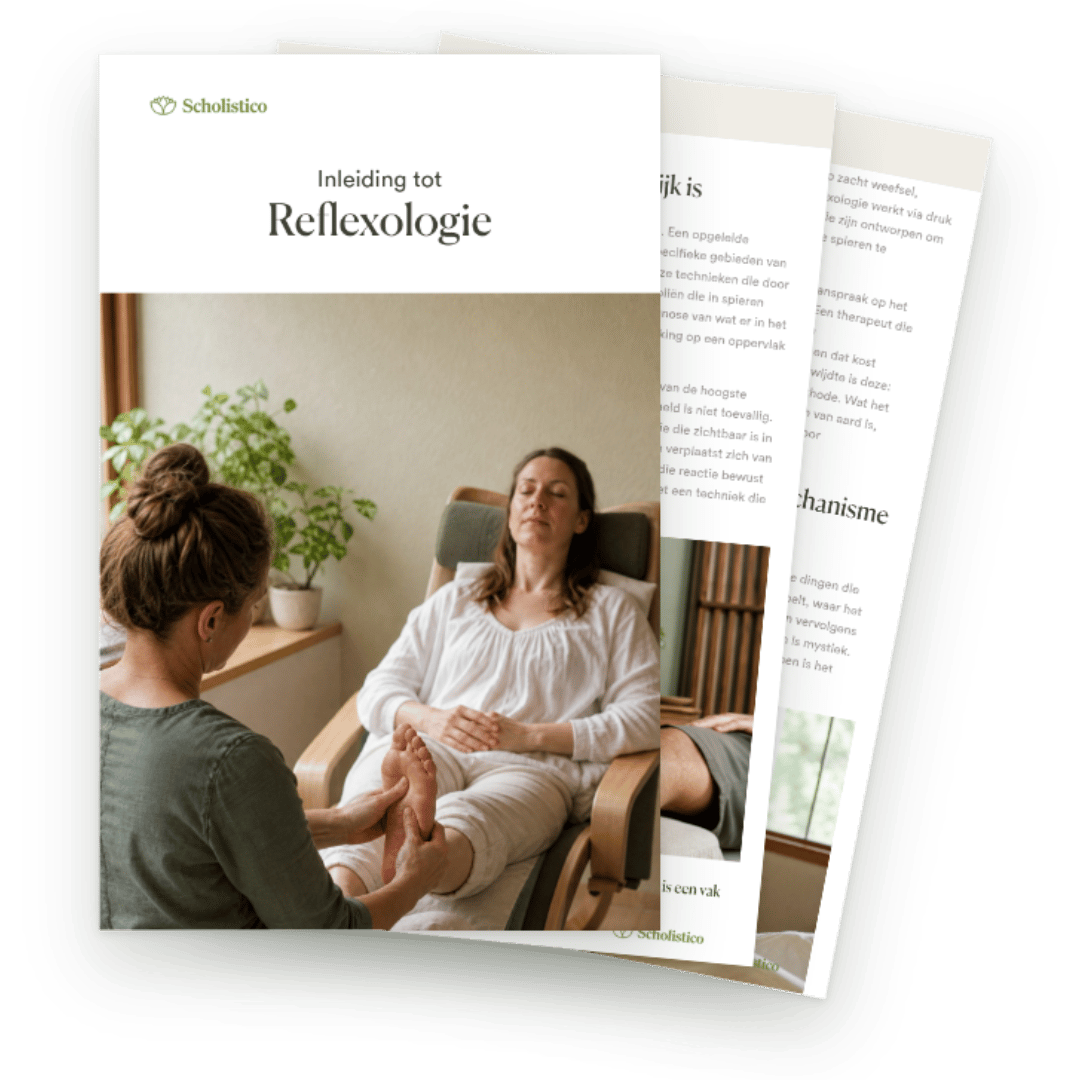 Ontdek wat reflexologie echt is, hoe het werkt en wat ervoor nodig is om het te beoefenen.