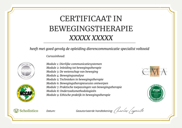 NL Movement Therapy Certificate PROT