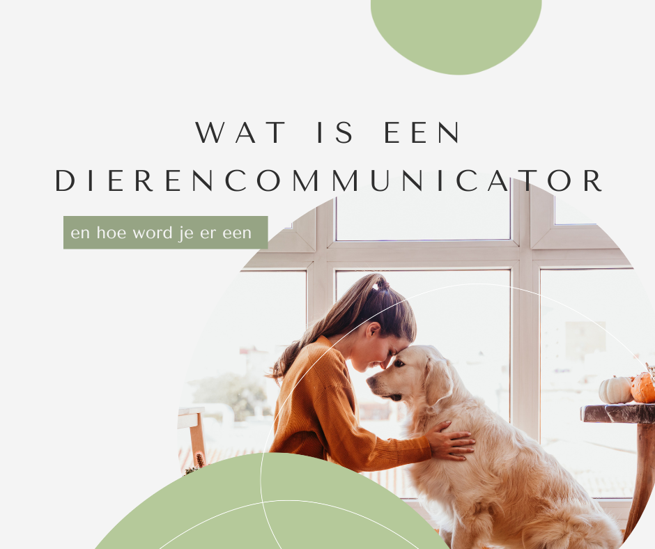 Wat is een dierencommunicator en hoe word je er een