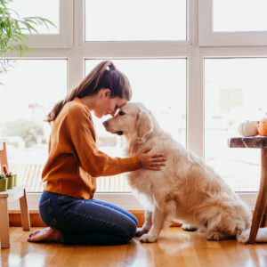 mooie vrouw die aanbiddelijke golden retriever hond thuis omhelst. liefde voor dieren concept. levensstijl