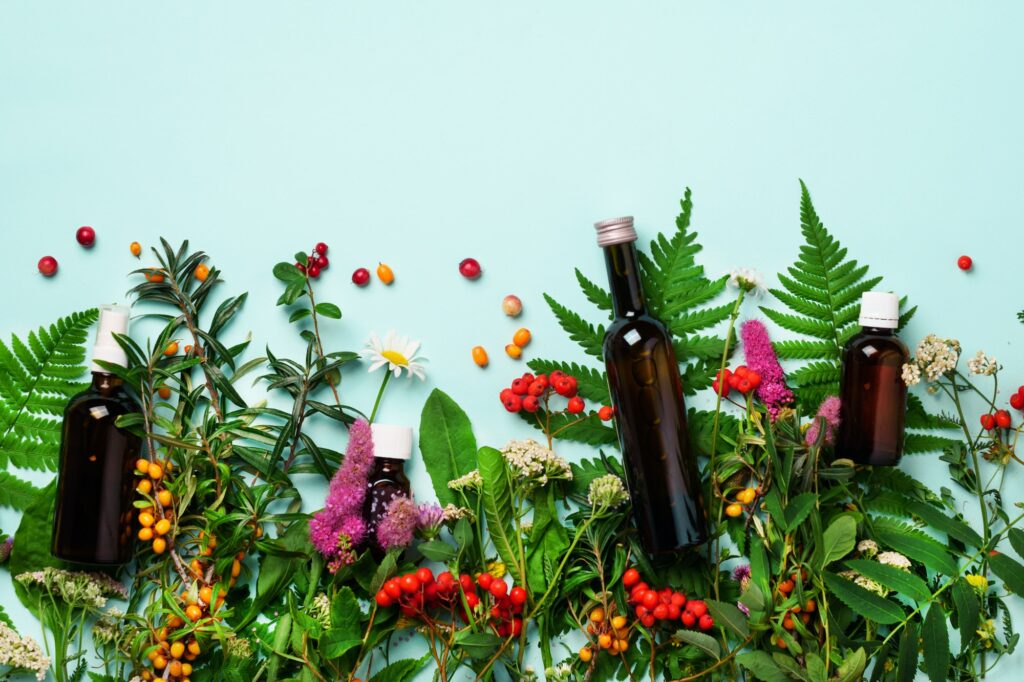 Essential oils in dark glass bottles and healing flowers, herbs on blue background. Holistic