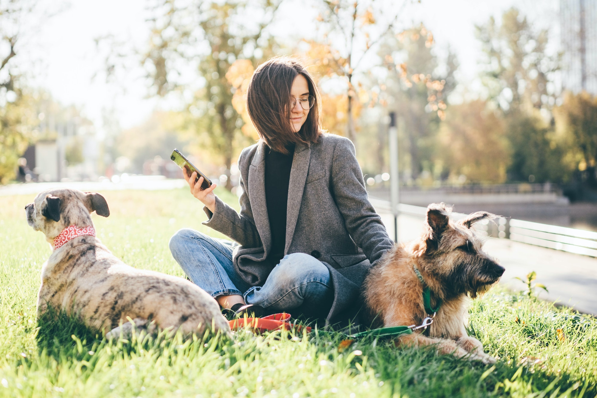 Dierencommunicatie Specialist