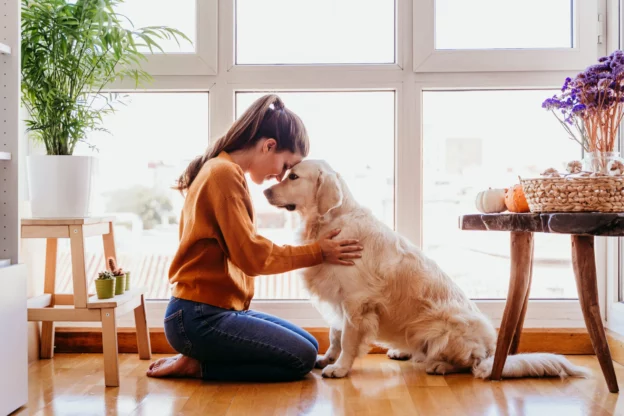 beautiful woman hugging adorable golden retriever 2022 04 08 20 15 29 utc scaled 1