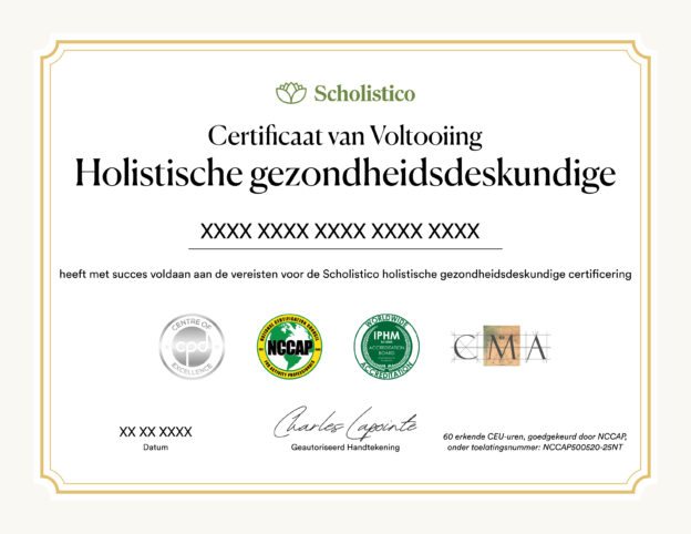 Scholistico Social Media Certificate HHP Dutch2