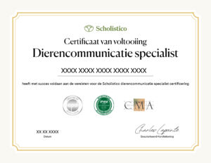 Scholistico Social Media Certificate ANCOM Dutch