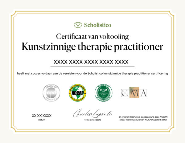 Scholistico Social Media Certificate ART Dutch scaled