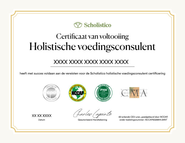 Scholistico Social Media Certificate HNC Dutch