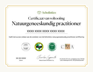 Scholistico Social Media Certificate Naturopathy Dutch