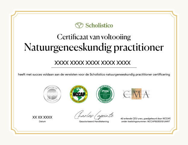 Scholistico Social Media Certificate Naturopathy Dutch