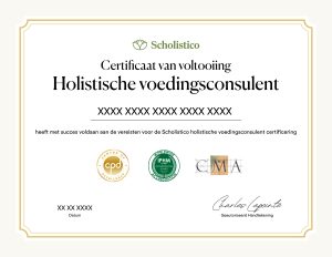 Scholistico Social Media Certificate HNC Dutch