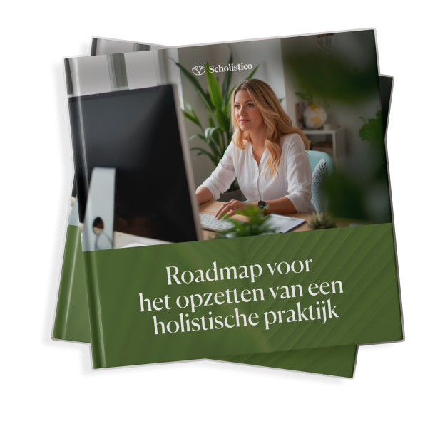 The Holistic Practice Setup Roadmap NL
