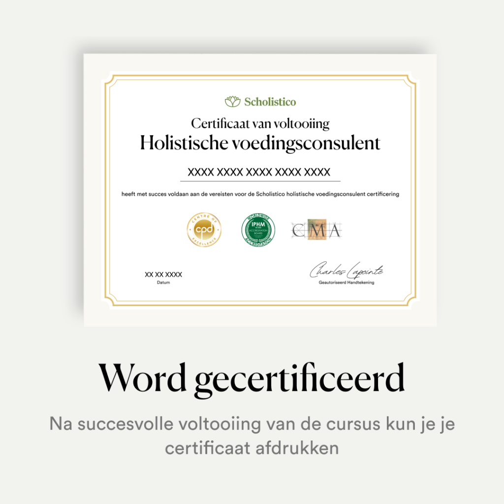 New_NL_SP_Creatives_Carousal (1)