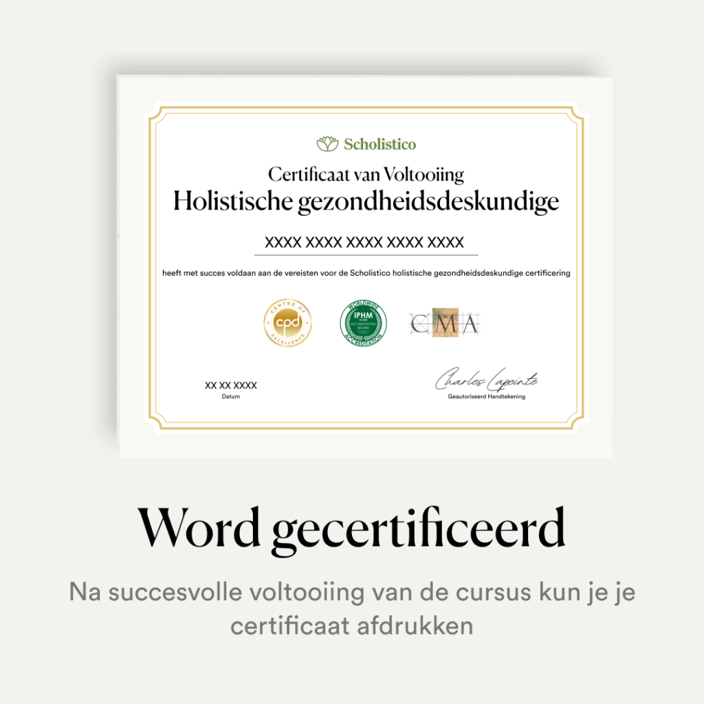 New_NL_SP_Creatives_Carousal (3)