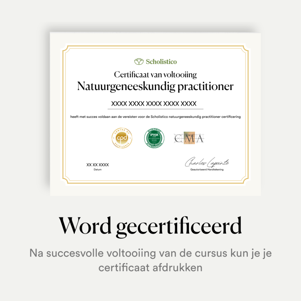 New_NL_SP_Creatives_Carousal (4)