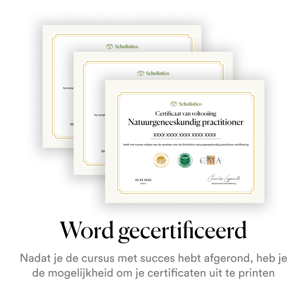 New_NL_SP_Creatives_Carousal (7)