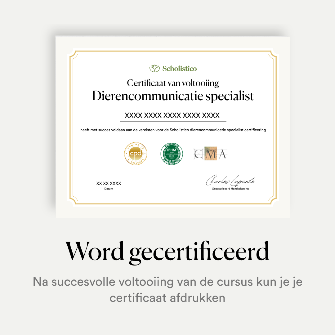 Scholistico_Course_Art-Therapy_Carousel_3_English