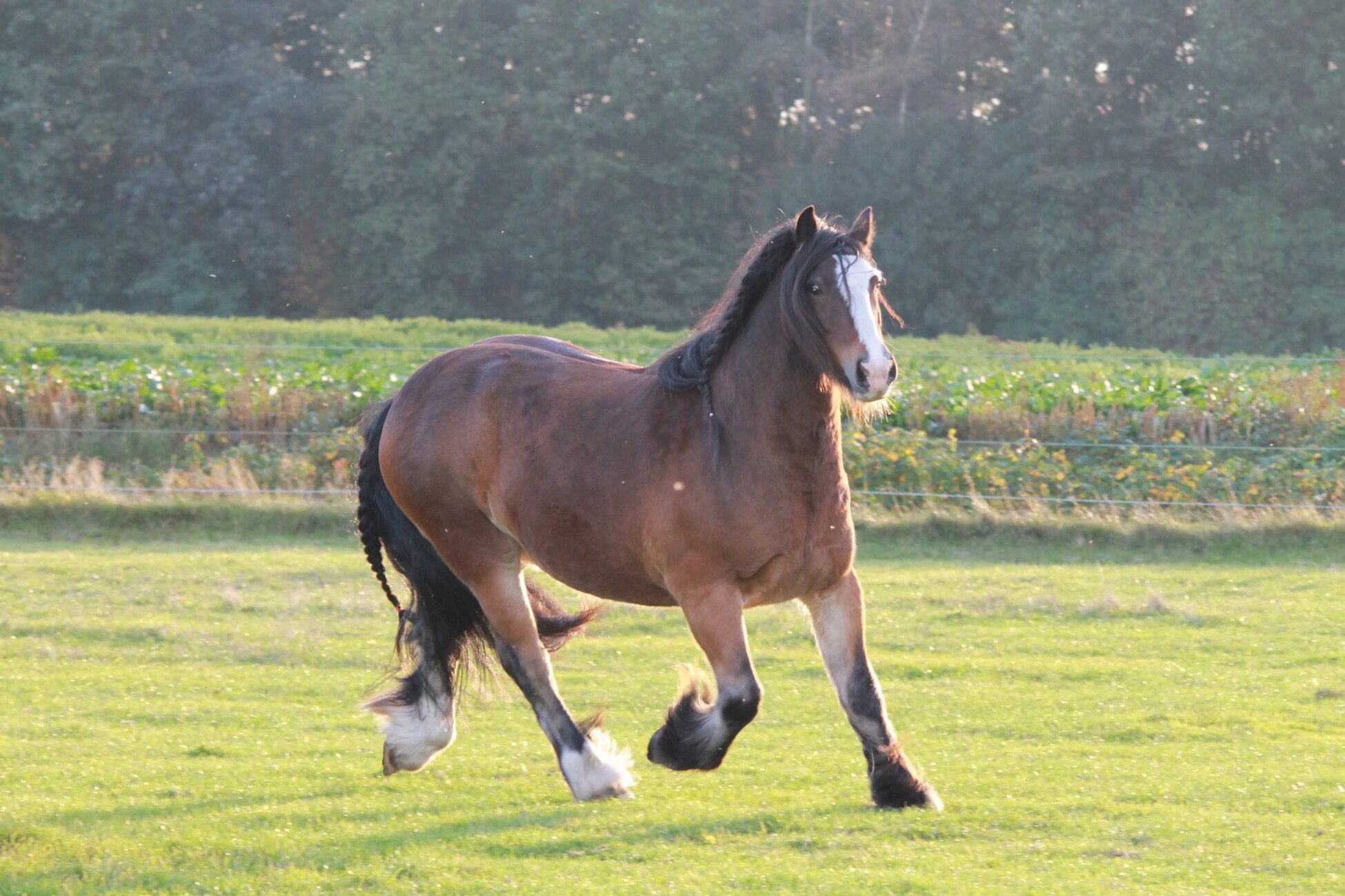 65c678af830d3 bp cover image